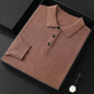 Spring And Autumn New Fashion Casual Polo Collar Long-sleeved Sweater Men