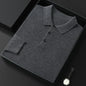 Spring And Autumn New Fashion Casual Polo Collar Long-sleeved Sweater Men